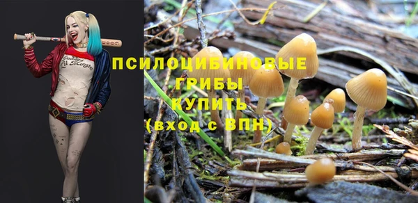 PSILOCYBIN Абинск