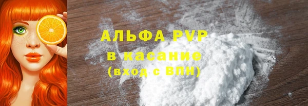 индика Краснотурьинск